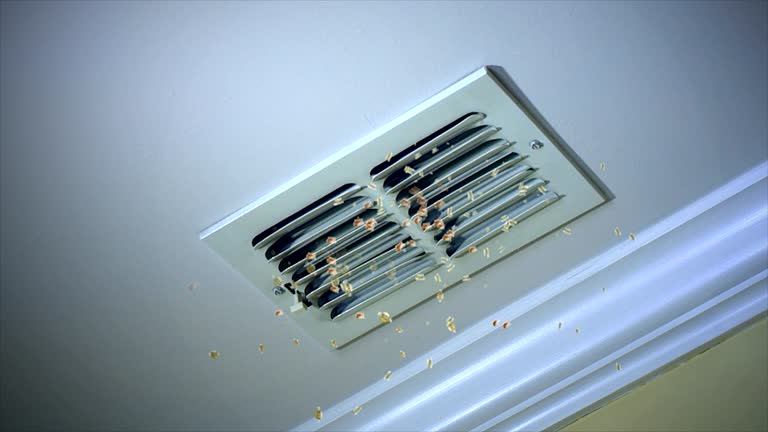 Best Local Air Duct Cleaning Services  in Daniels, WV