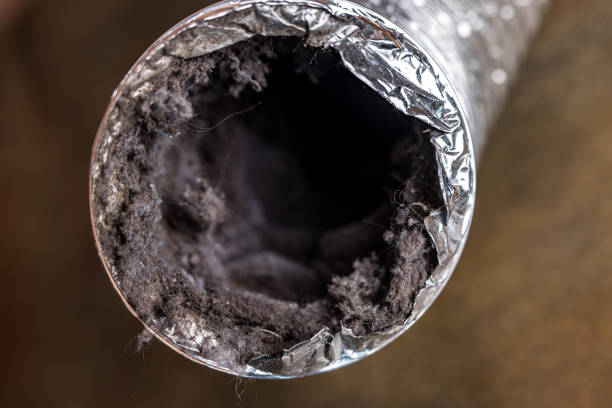 Best Affordable HVAC Duct Cleaning  in Daniels, WV