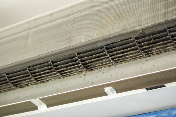 Best Affordable Air Duct Cleaning  in Daniels, WV